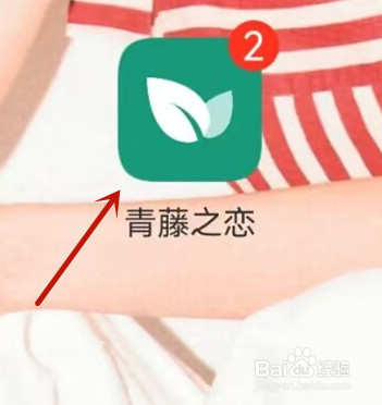 青藤之恋怎么上传照片