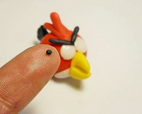 怎样用橡皮泥捏一只疯狂的小鸟