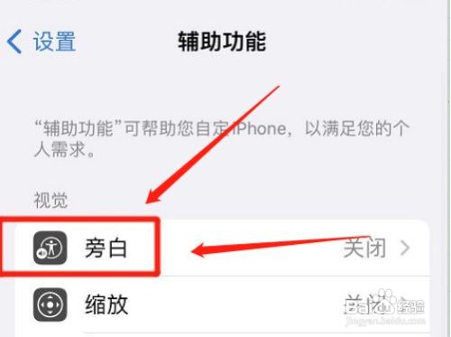 如何输出苹果手机八点式盲文