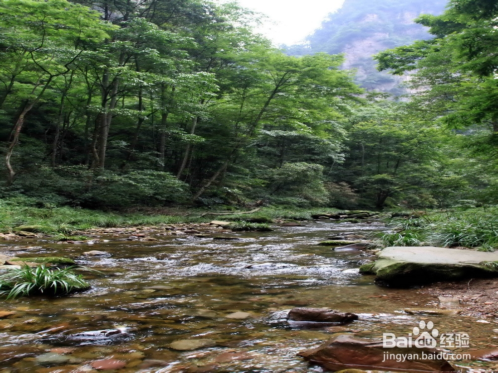 张家界住宿贵吗