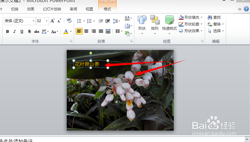 如何组合PPT中的文字和图片