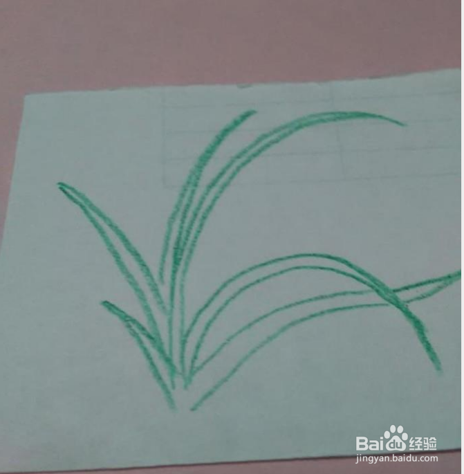 简笔画一朵兰花