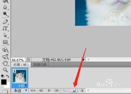 用PS制作动态猫咪表情包