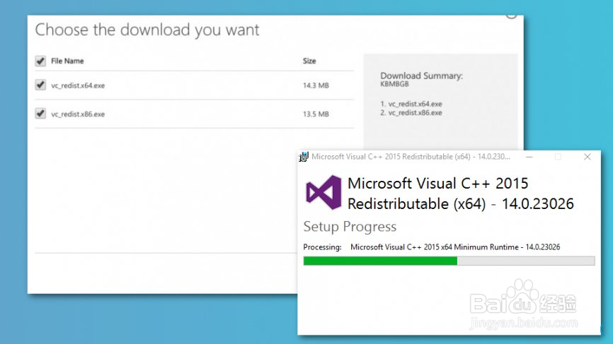 修复BSOD BAD_SYSTEM_CONFIG_INFO错误?