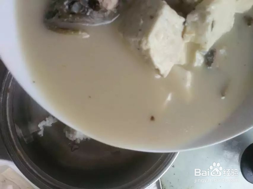 豆腐鲢鱼饭的家常做法