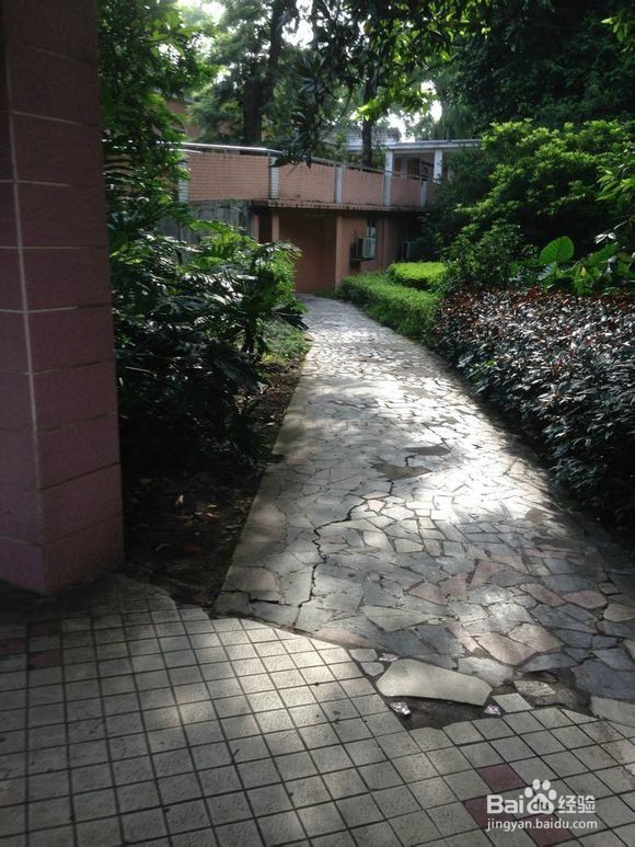 南华工商学院黄埔校区校园图片全攻略