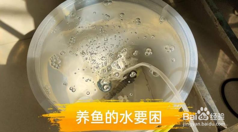 家庭制作软化水的方法
