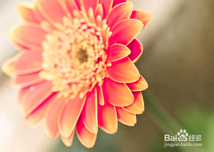 富不过三代,穷不过三代,你肿么看