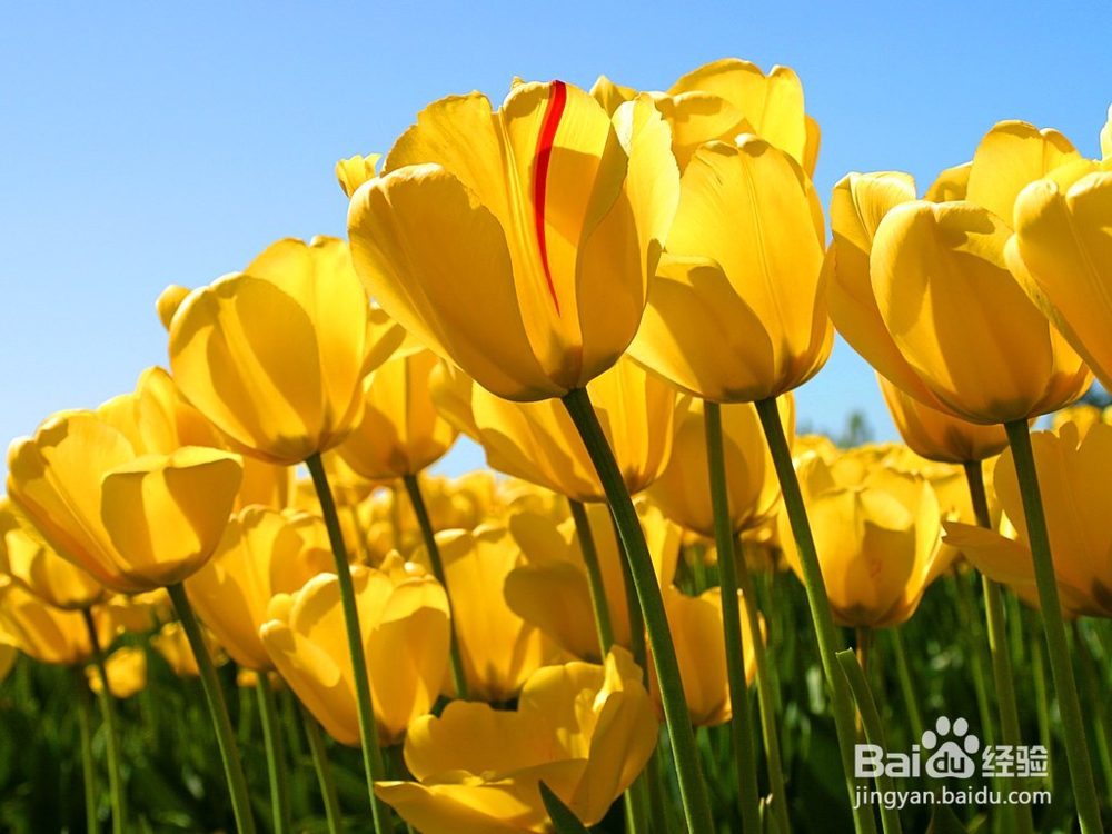 怎样和青春期的孩子相处