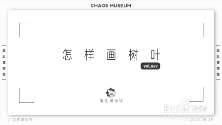 植物叶脉中蕴藏着哪些数学知识?