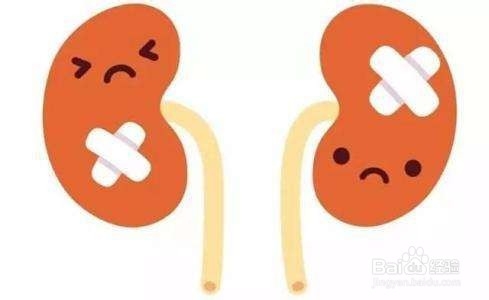 肾养就是养命、肾养需要注意的几点问题