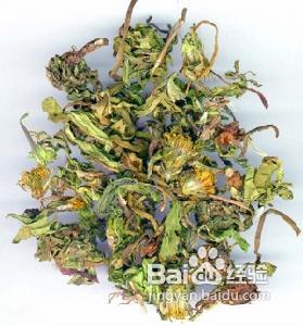 蒲公英茶的做法