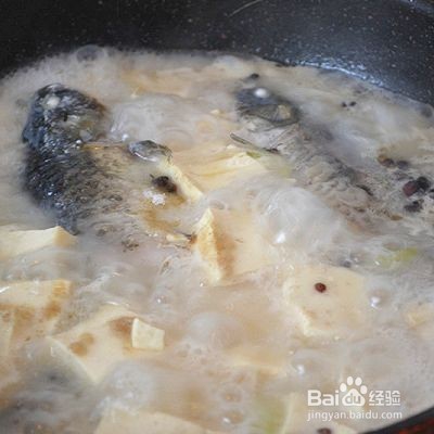 秋季养生汤——鲫鱼豆腐汤的做法