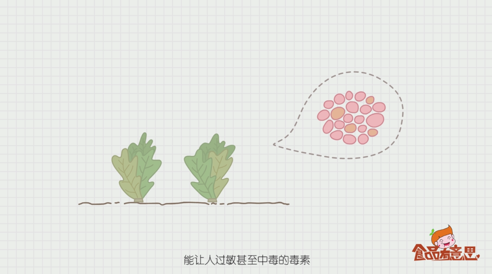 如何区别野菜与绿色食品
