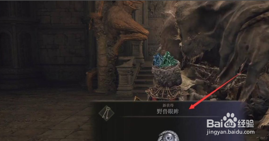 艾尔登法环野兽眼眸怎么获取