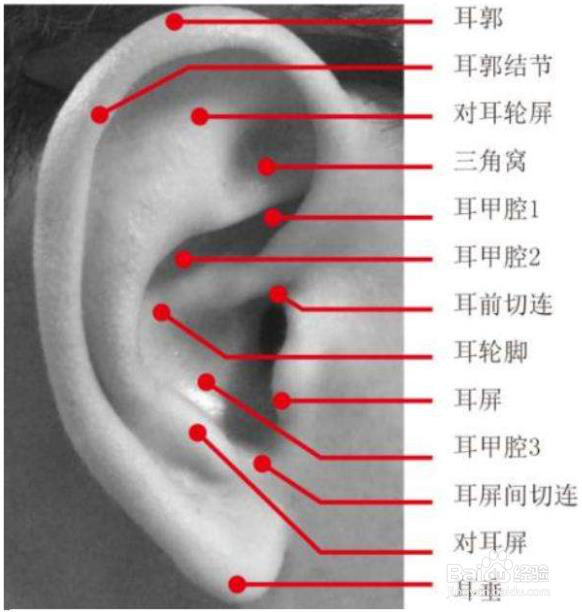 关于运动蓝牙耳机的外观设计