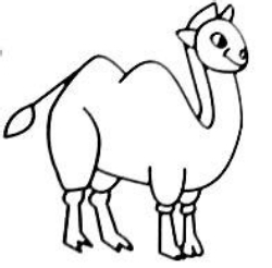 怎样绘制简笔画——骆驼