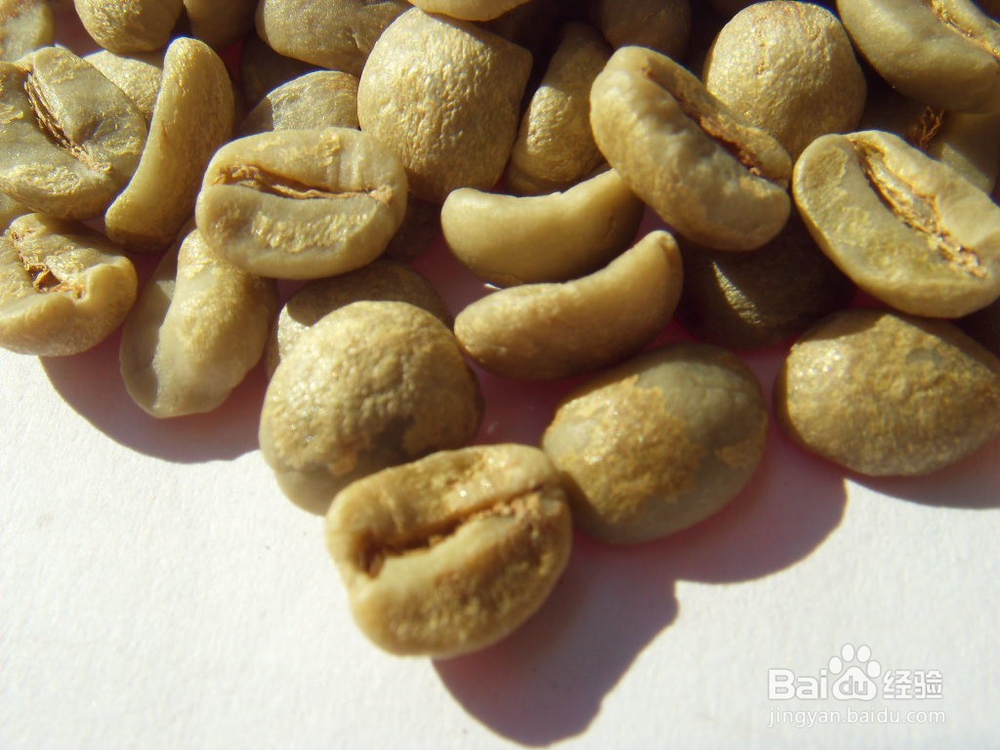 如何判断咖啡豆的好坏?