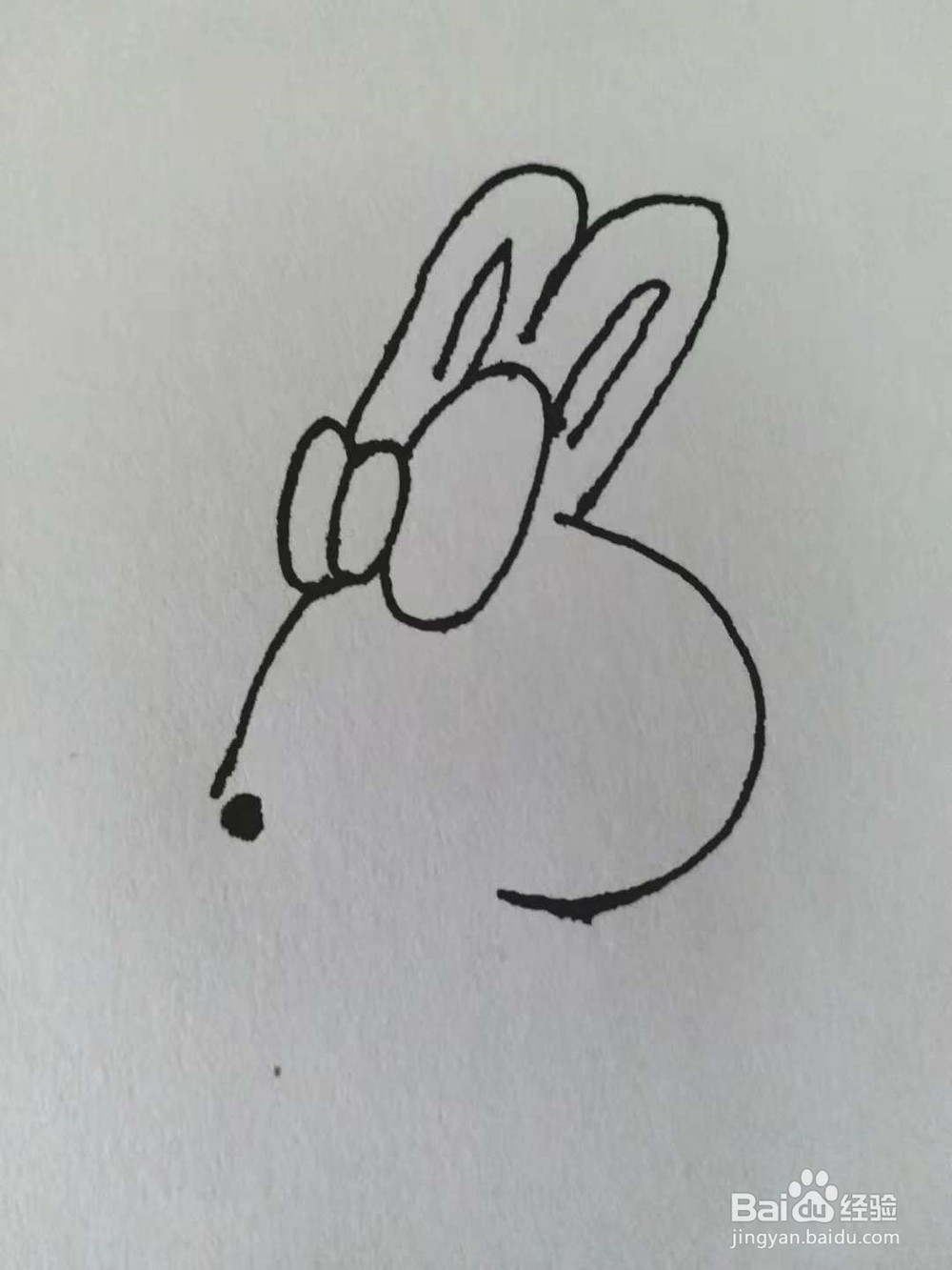 卡通兔的简笔画法《三》