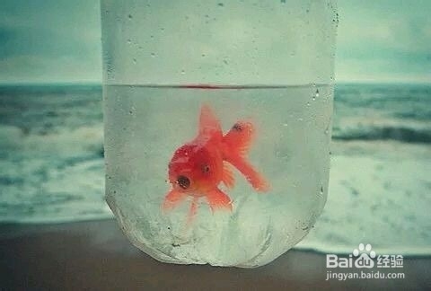 面对选择的犹豫怎么办?