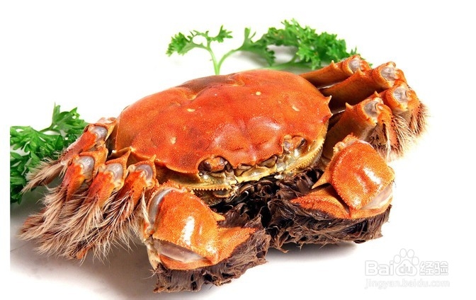 红烧大闸蟹步骤