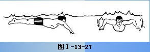教你蝶泳技术详解
