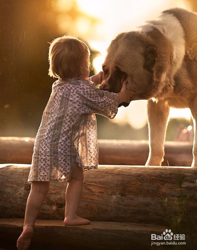 宠物狗与孩子亲密合影，真的是很温馨快乐！