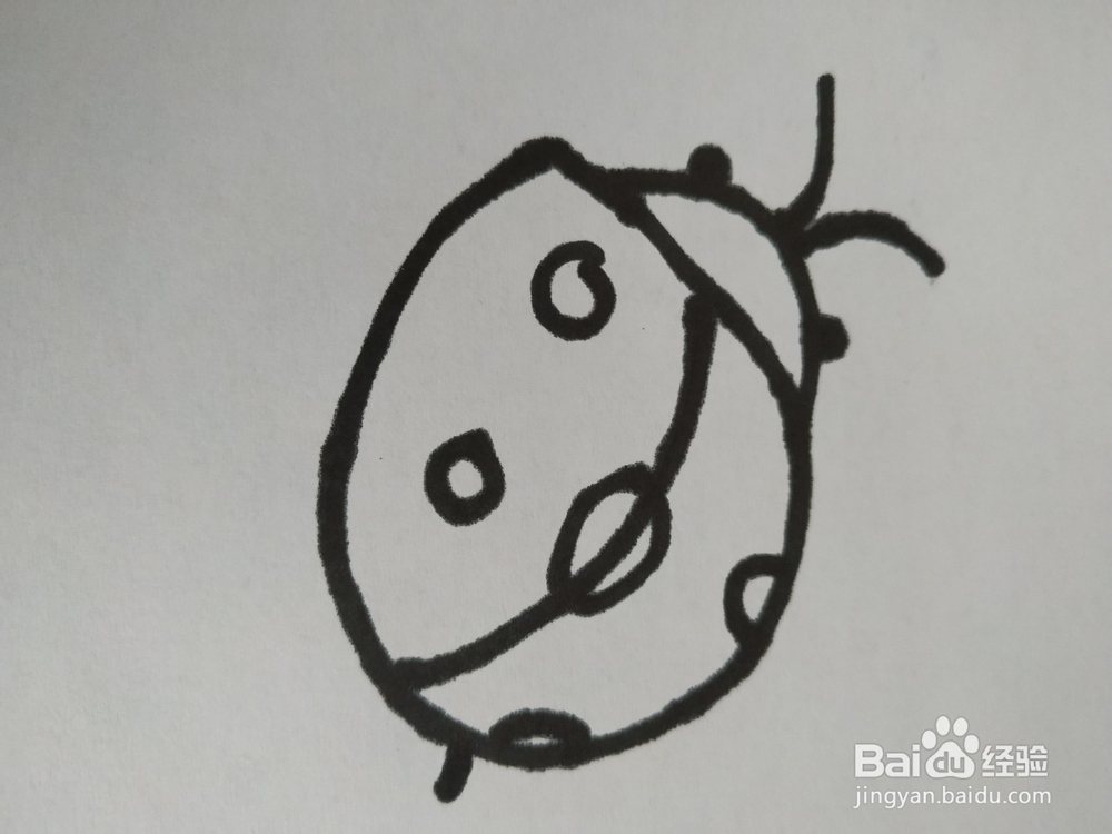 瓢虫的简笔画技法3