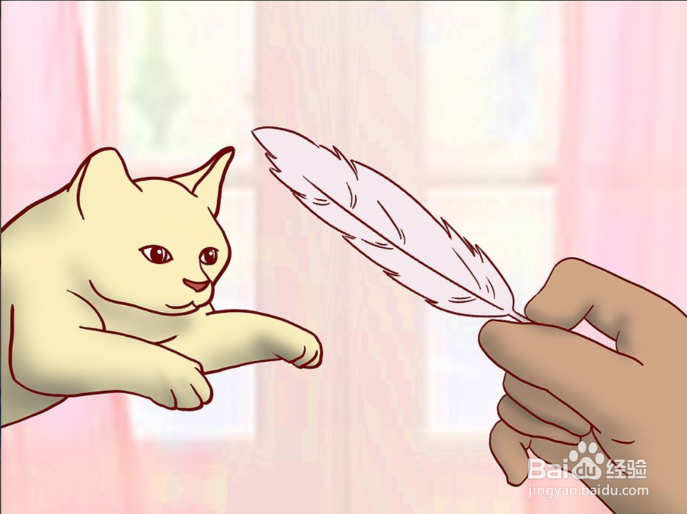 教你如何一只小猫开始养和注意事项有哪些?