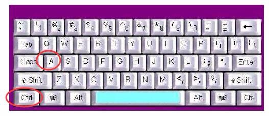 电脑常用的快捷键的使用