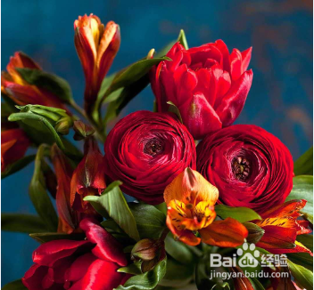 怎样有效防治失眠？