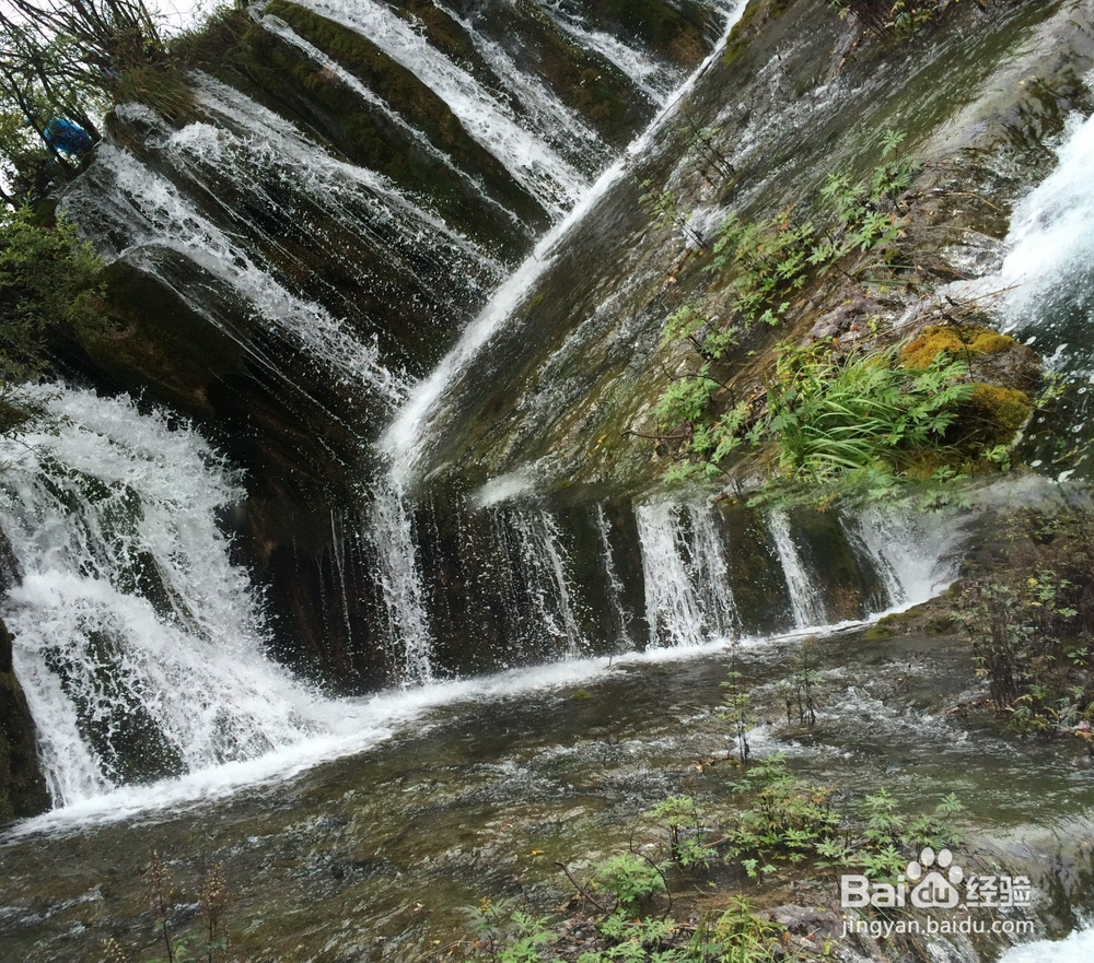 四川九寨沟、黄龙3天2夜旅游攻略