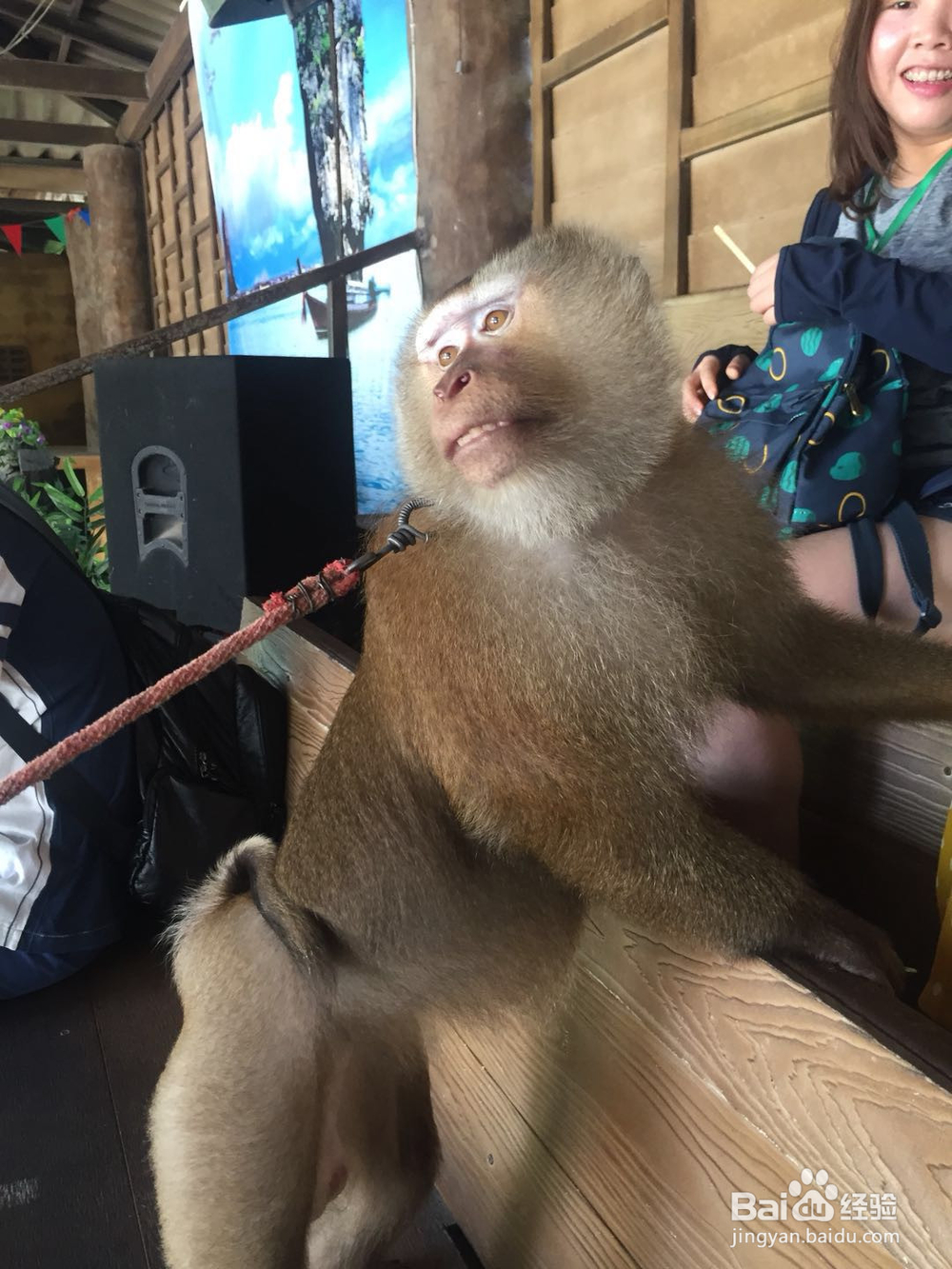 泰国普吉欢乐5晚7日游怎么样？