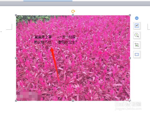 修改word文档插入图片的格式