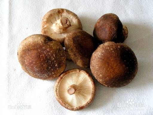 如何做菜系列鲁菜之黄焖鸡块