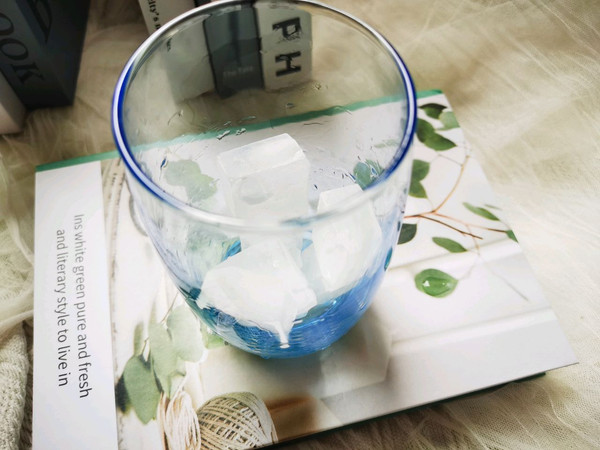 蔓越莓青柠气泡水