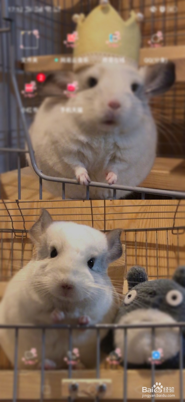 OPPO R11如何设置夜间护眼模式？