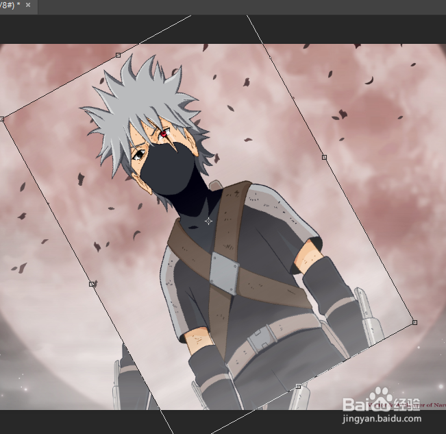 PhotoshopCC2017中图形的自由变换有哪些？