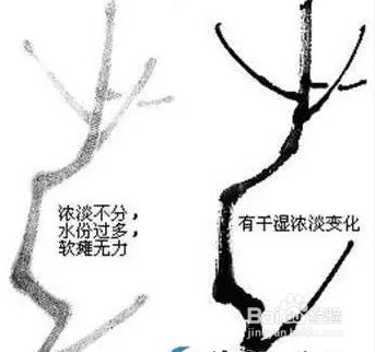 国画梅花的画法攻略