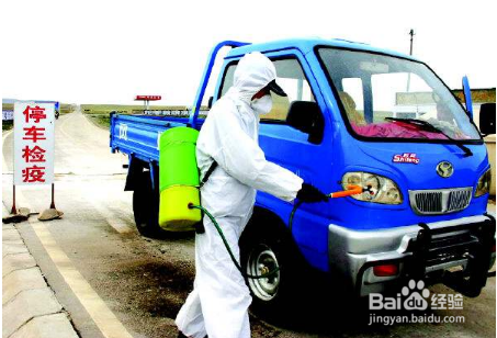 怎么防止非洲猪瘟疫情扩散？