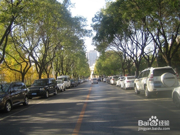 植物的种植要考虑车辆行驶的通道及停车位置