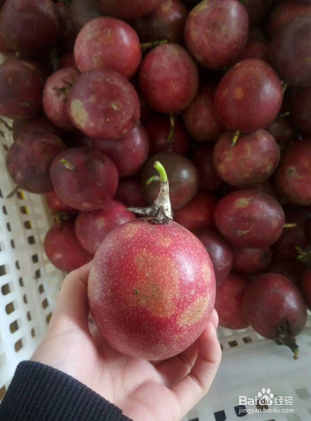 教你快速吃百香果