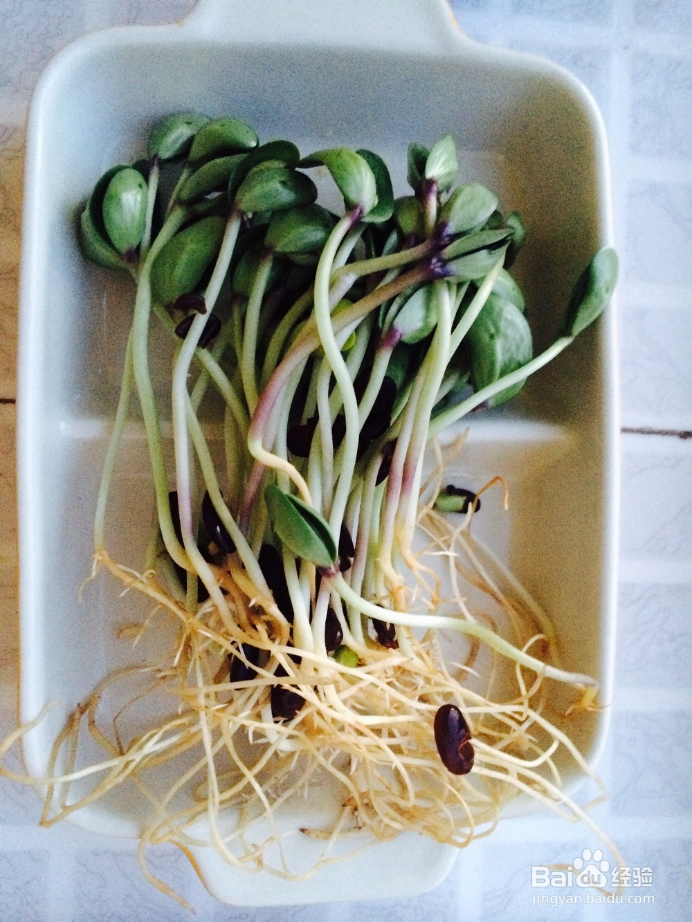 营养美味的豆苗鸡肉馄饨