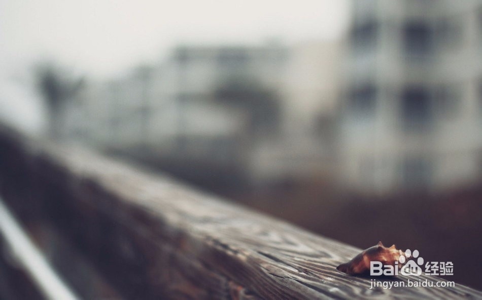 培养快速阅读习惯