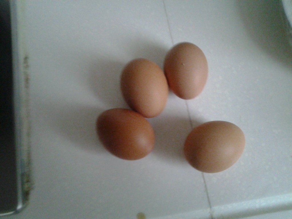 超美味的虾仁煎蛋，每一口都是满满的幸福！