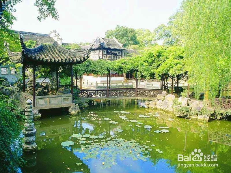 旅游,到处看看风景吧