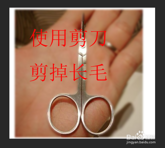 怎样快速去毛