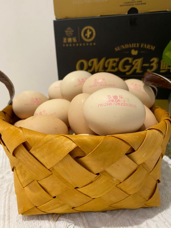 生菜麦片海参煎蛋