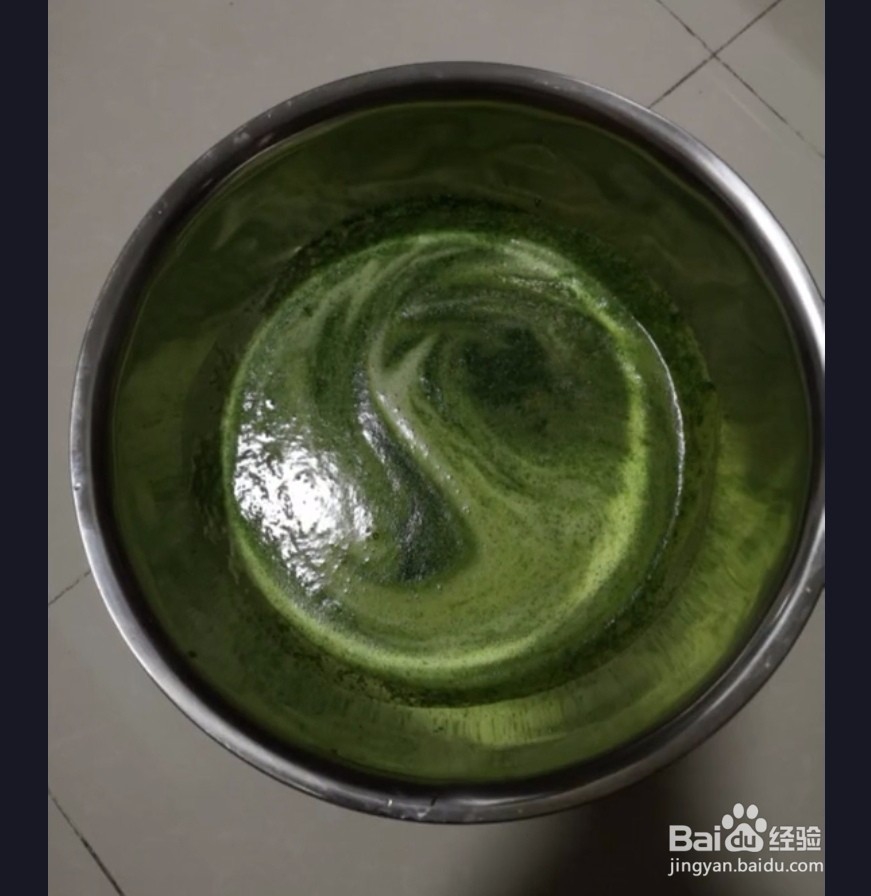 自己摘的桑叶怎么处理