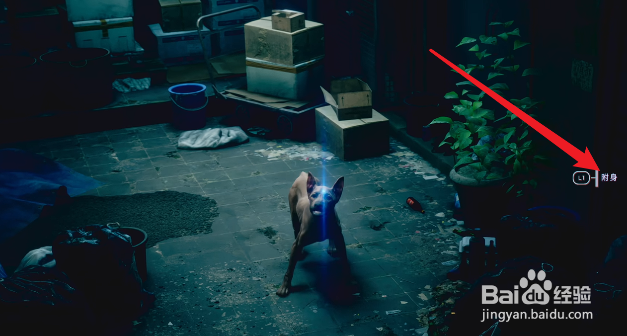 野狗子怎么附身